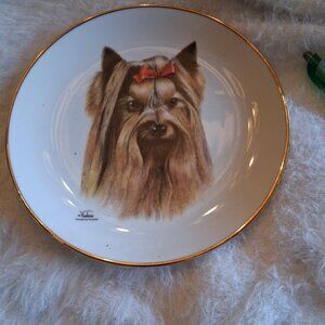 No Brand Multi Decor-home-accesories